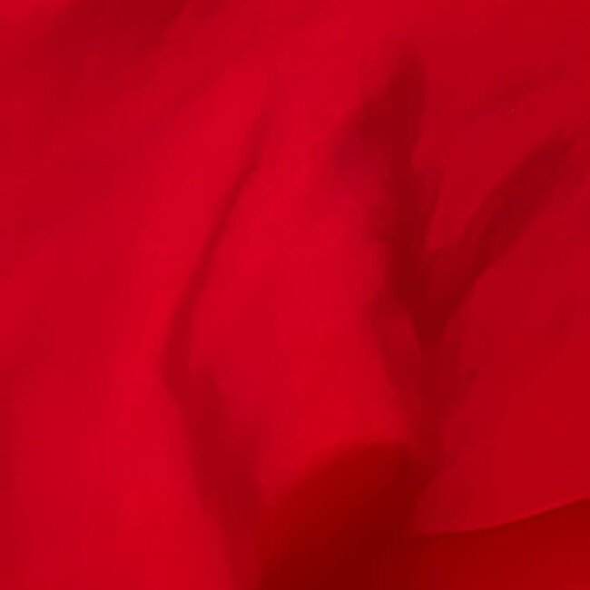 A deep red abstract macro photograph of intricate floral texture, creating a moody, introspective feel.